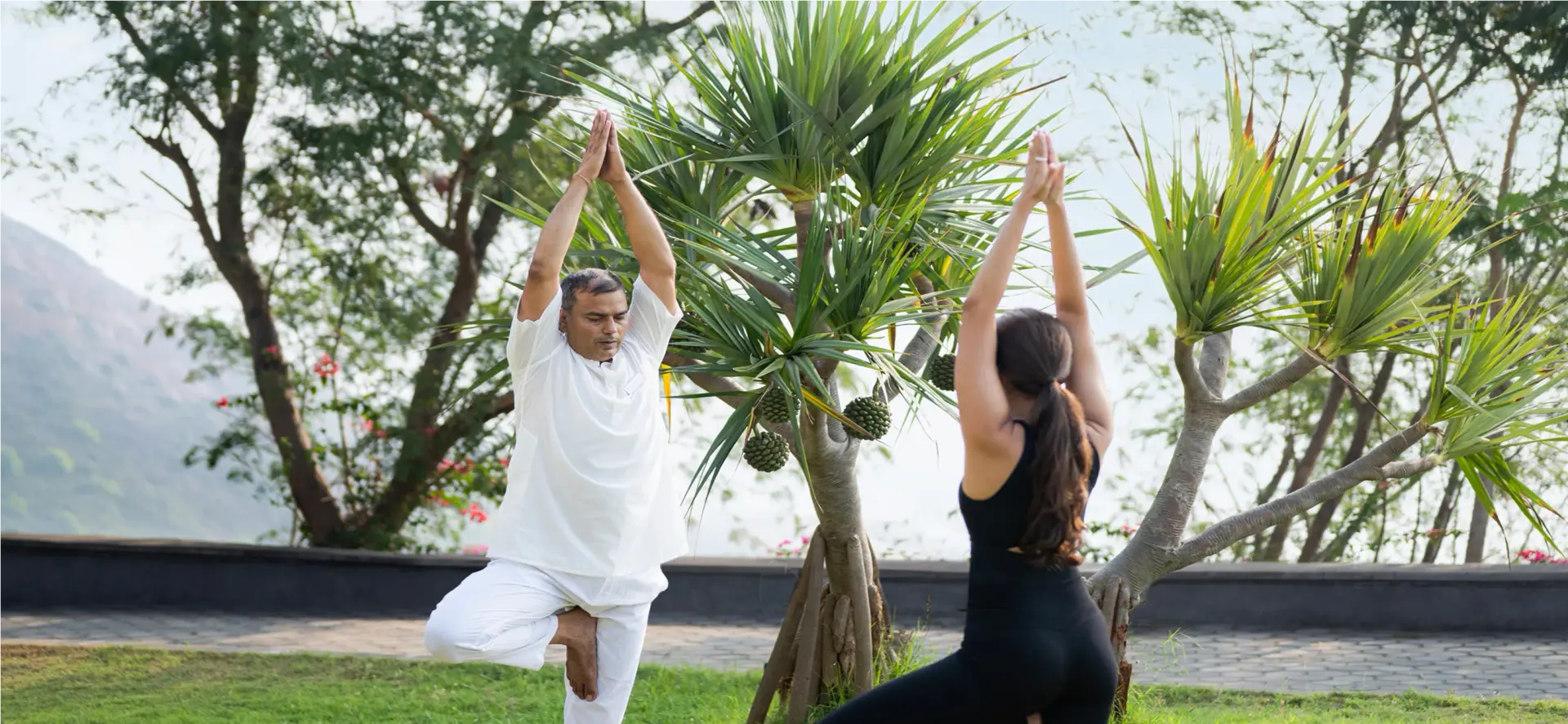 pema-lite-hero-image-web